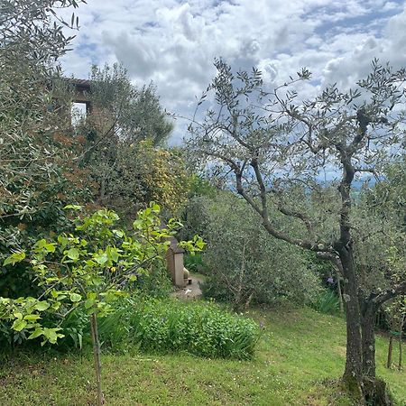 Podere Casallorto โวลแตร์รา ภายนอก รูปภาพ