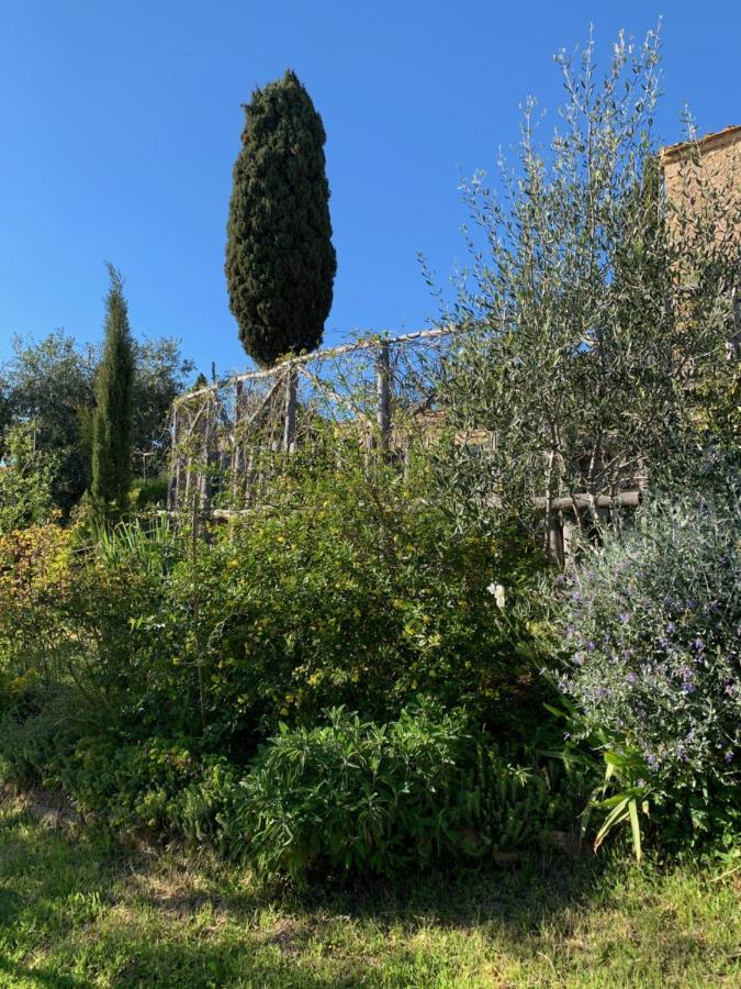 Podere Casallorto โวลแตร์รา ภายนอก รูปภาพ